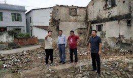 平望镇南杨村新闻爆料,揭秘乡村振兴新亮点